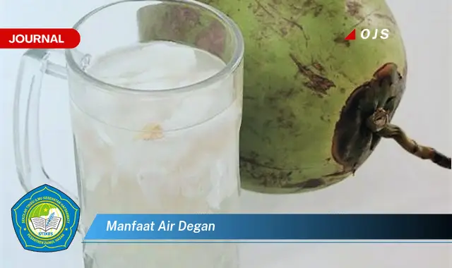 manfaat air degan