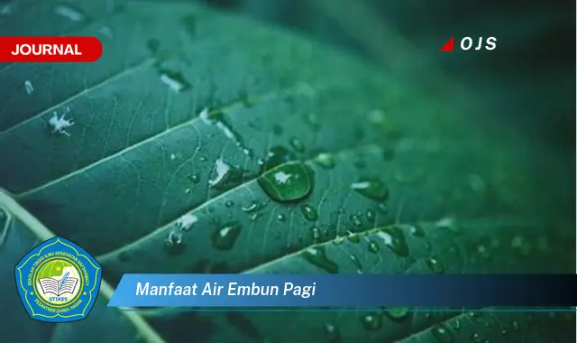 Intip 6 Manfaat Air Embun Pagi yang Wajib Kamu Intip - E-Journal