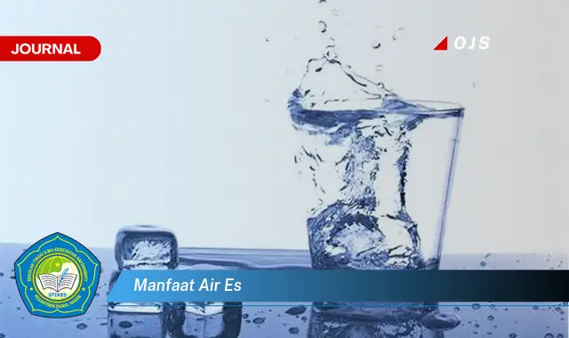 manfaat air es