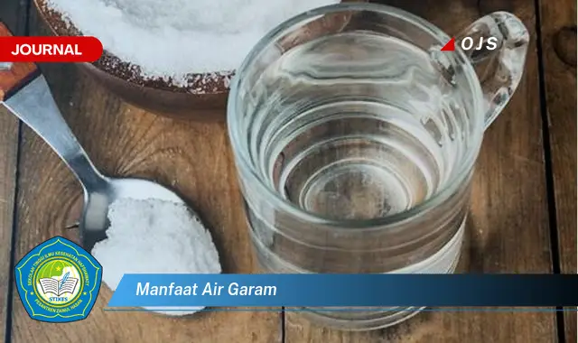 manfaat air garam