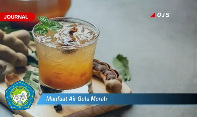 manfaat air gula merah