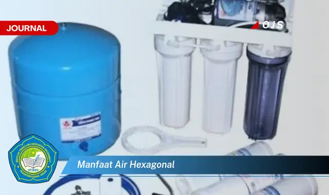 manfaat air hexagonal