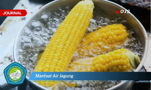 manfaat air jagung