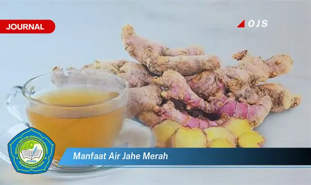 manfaat air jahe merah