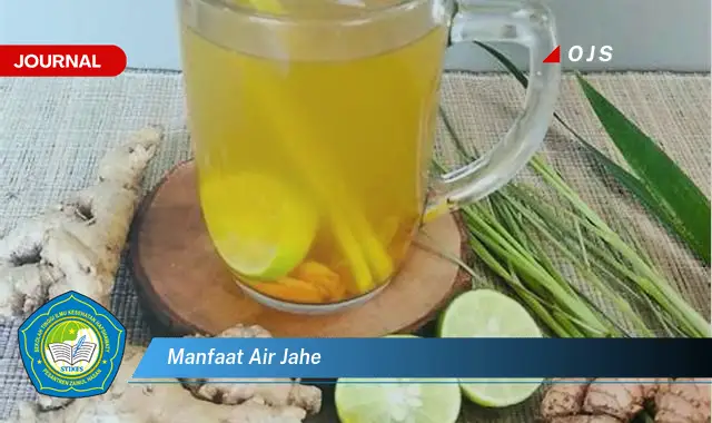 manfaat air jahe