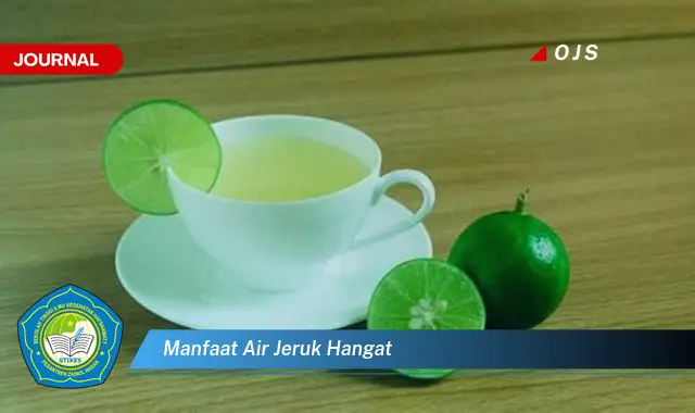 manfaat air jeruk hangat