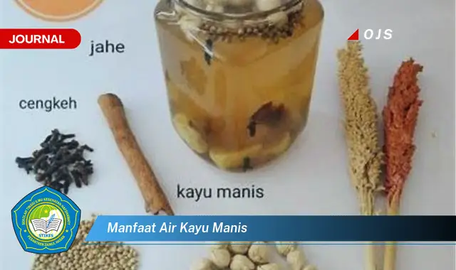 manfaat air kayu manis