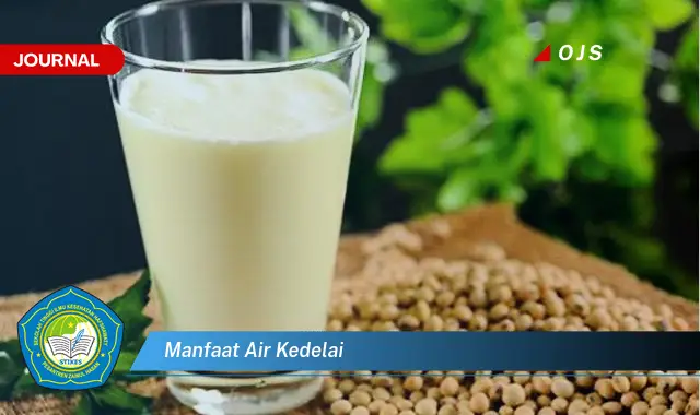 manfaat air kedelai