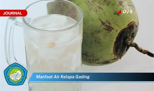 manfaat air kelapa gading