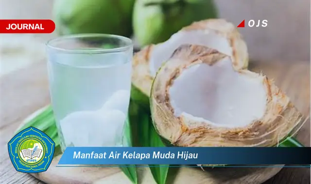 manfaat air kelapa muda hijau