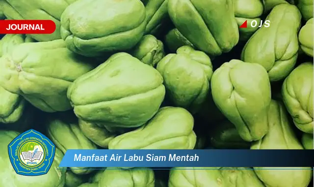 manfaat air labu siam mentah