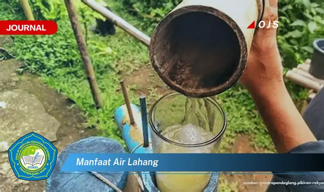 manfaat air lahang