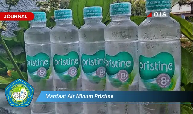 manfaat air minum pristine