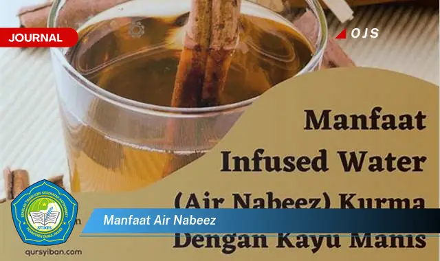 manfaat air nabeez