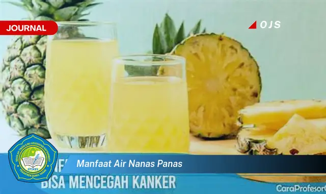 manfaat air nanas panas