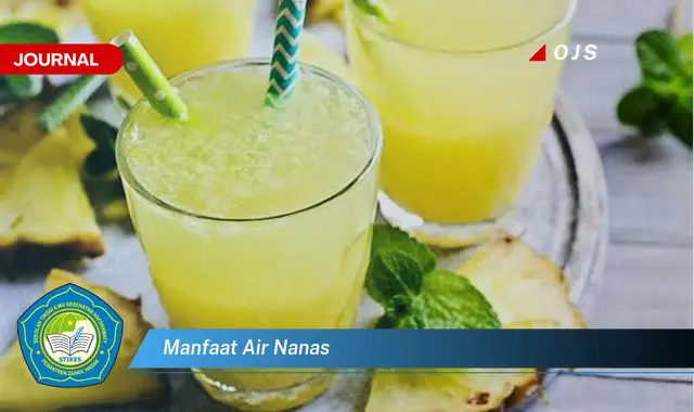 manfaat air nanas