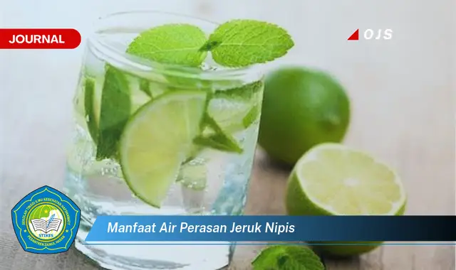 manfaat air perasan jeruk nipis