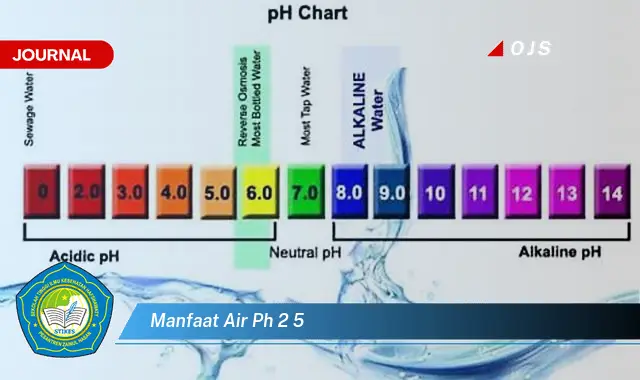 manfaat air ph 2 5