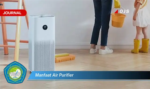 manfaat air purifier