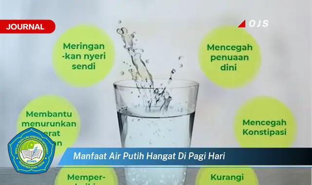 manfaat air putih hangat di pagi hari