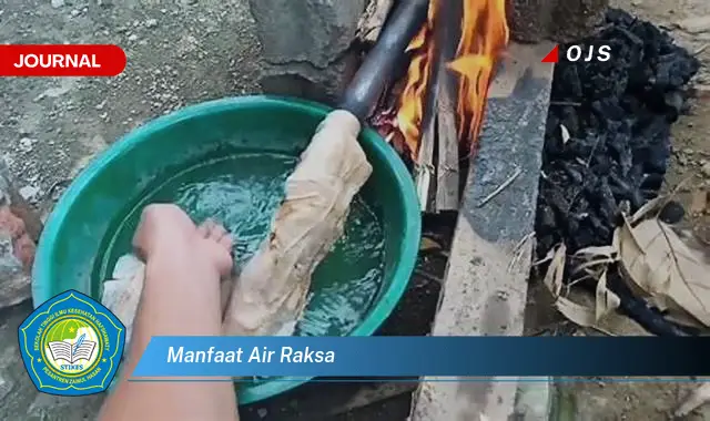 manfaat air raksa