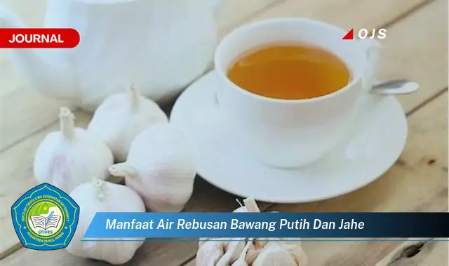 manfaat air rebusan bawang putih dan jahe