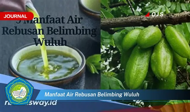 manfaat air rebusan belimbing wuluh