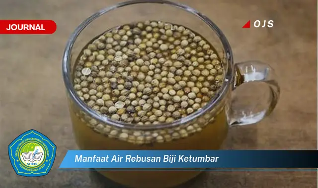 manfaat air rebusan biji ketumbar