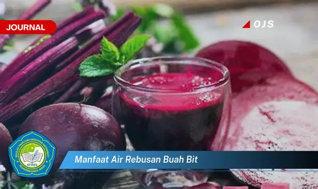 manfaat air rebusan buah bit