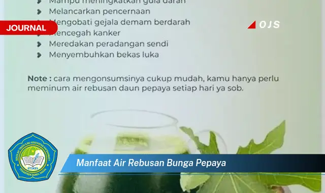 manfaat air rebusan bunga pepaya