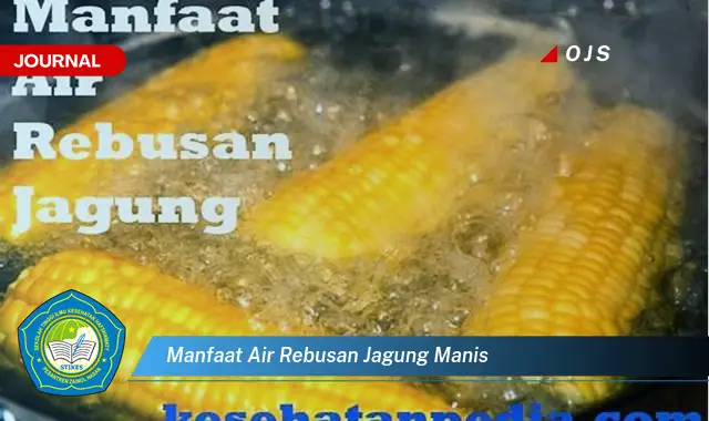 manfaat air rebusan jagung manis