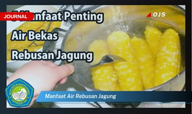 manfaat air rebusan jagung