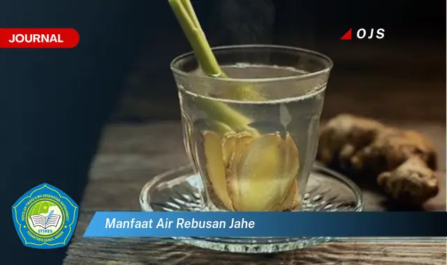 manfaat air rebusan jahe