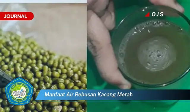 manfaat air rebusan kacang merah