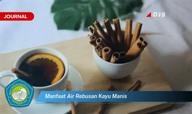 manfaat air rebusan kayu manis