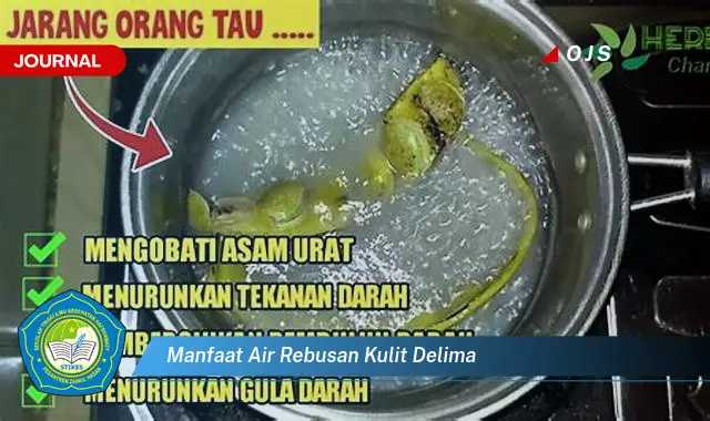 manfaat air rebusan kulit delima