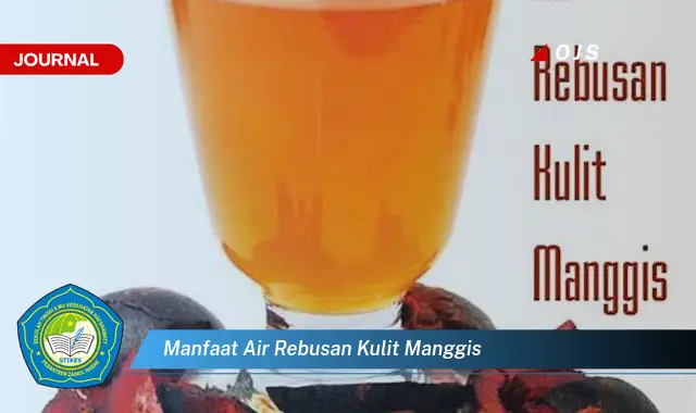 manfaat air rebusan kulit manggis