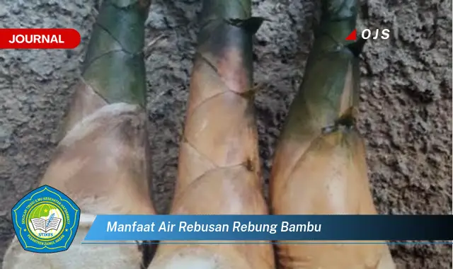 manfaat air rebusan rebung bambu