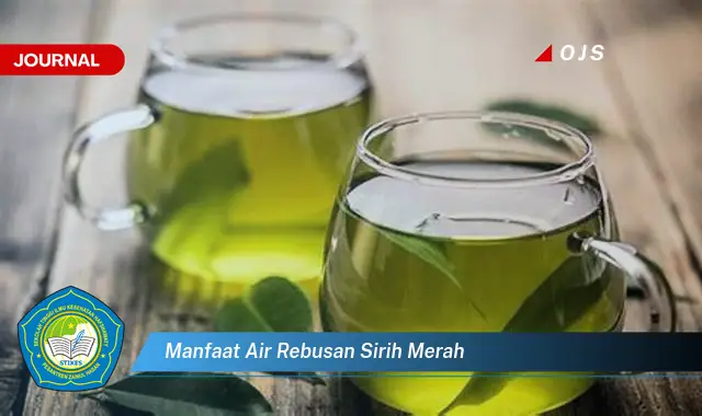 manfaat air rebusan sirih merah