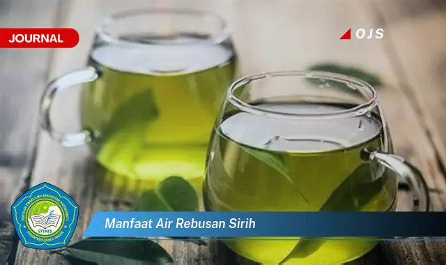 manfaat air rebusan sirih