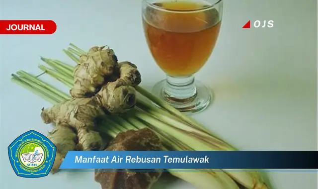 manfaat air rebusan temulawak