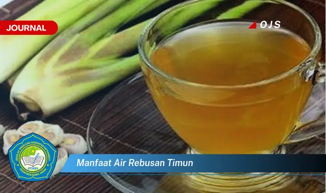 manfaat air rebusan timun