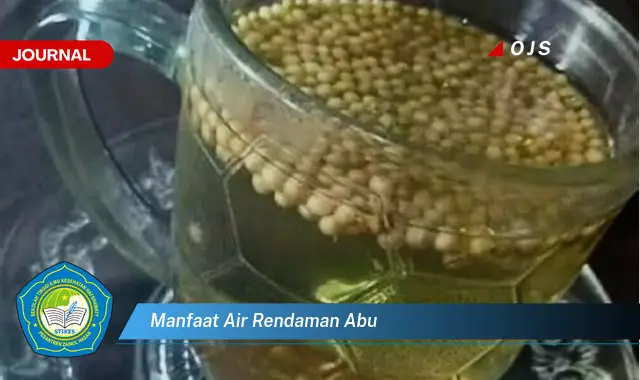 manfaat air rendaman abu