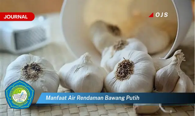 manfaat air rendaman bawang putih manfaat air rendaman bawang putih