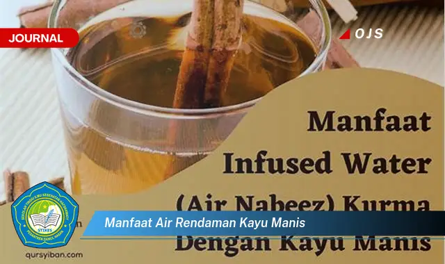 manfaat air rendaman kayu manis