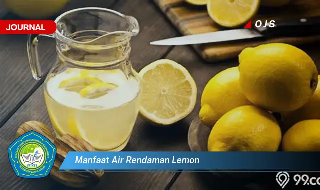 manfaat air rendaman lemon