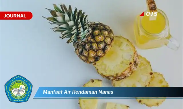 manfaat air rendaman nanas manfaat air rendaman nanas
