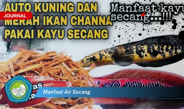 manfaat air secang manfaat air secang