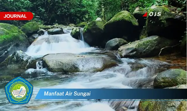 manfaat air sungai