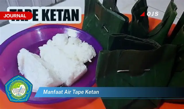 manfaat air tape ketan